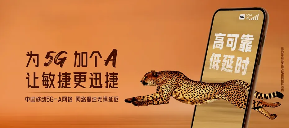 宁晋县宁晋县大曹庄镇 移动宽带